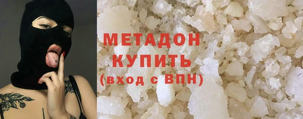 прущие грибы Волоколамск