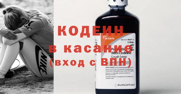 прущие грибы Волоколамск