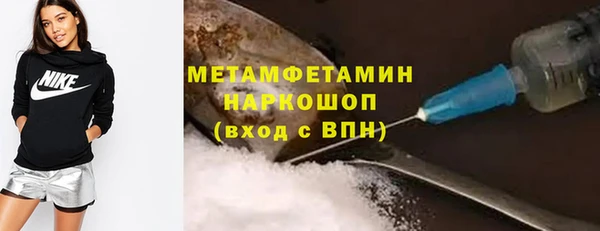 прущие грибы Волоколамск