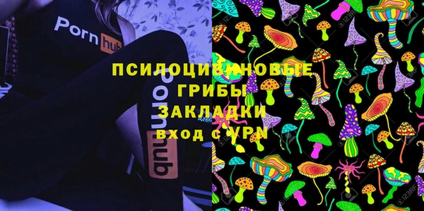 молекула духа Горнозаводск