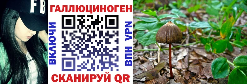 Галлюциногенные грибы GOLDEN TEACHER  Дрезна 